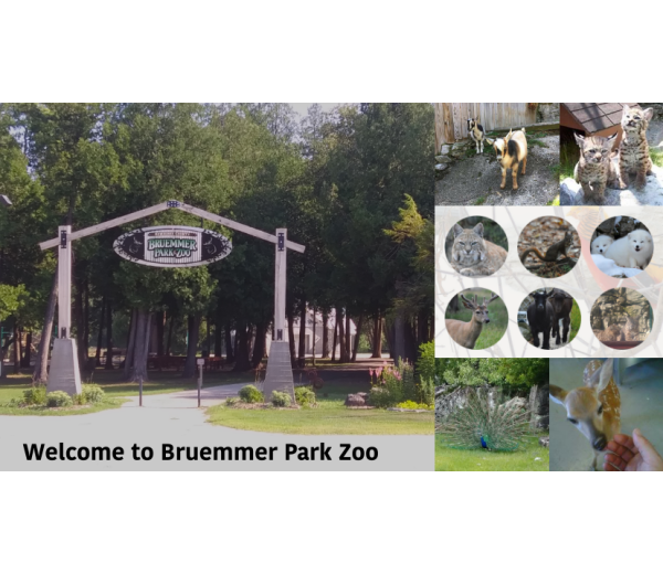 Photo of Zoological Society of Kewaunee County / Bruemmer Park Zoo Photo of Zoological Society of Kewaunee County / Bruemmer Park Zoo